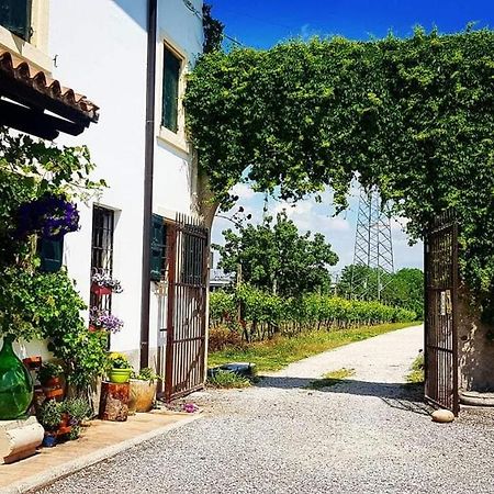 Corte Le Vigne Bed and Breakfast Verona Exterior foto